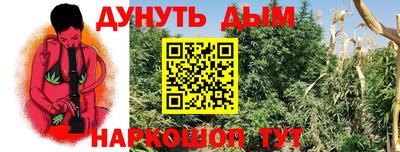 прущие грибы Северобайкальск