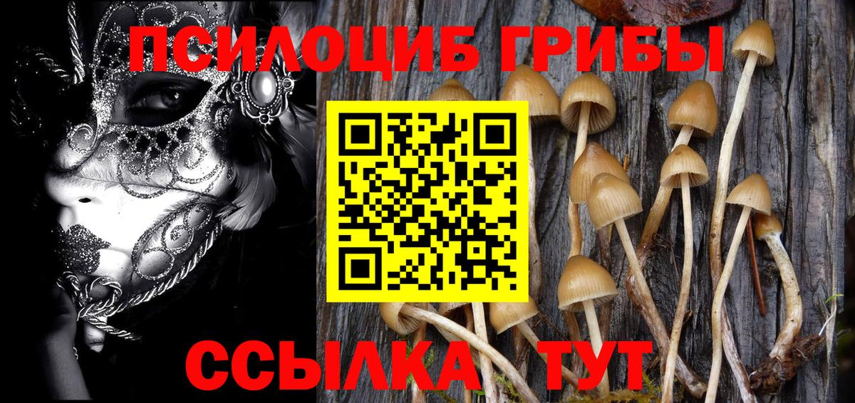 Галлюциногенные грибы Cubensis  Вход с VPN  Сосновый Бор  Псилоцибиновые грибы Magic Shrooms 